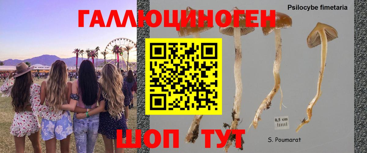 Балахна  Псилоцибиновые грибы мухоморы  Вход с VPN 